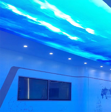 中國航發(fā)渦輪院研發(fā)總部展廳透明天幕屏項目